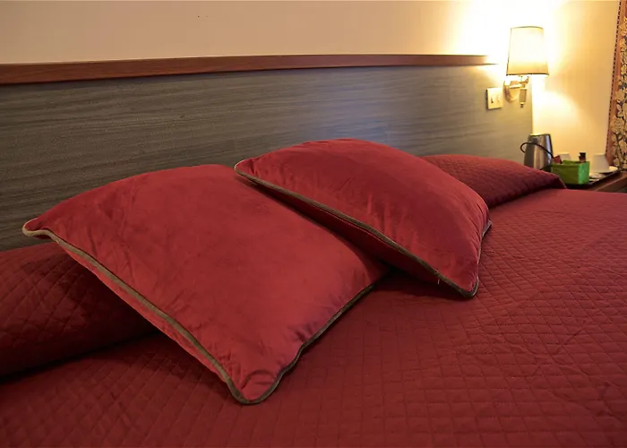 Hotel Carmel